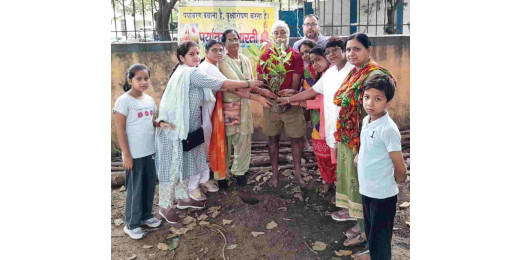 राष्ट्रीय जड़ी-बूटी दिवस पर लखीसराय में वृक्षारोपण कार्यक्रम